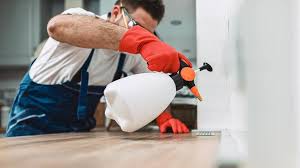 Best Pest Prevention Services  in San Francisco, CA